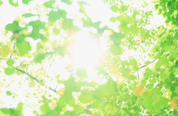 木場・豊洲・東雲のペットご葬儀は｜御厨(みくりや)商会ペット葬儀部｜クレジットカードもご利用いただけます